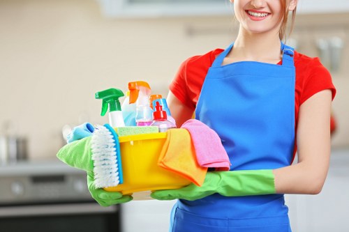 Professional oven cleaning tools arranged for service