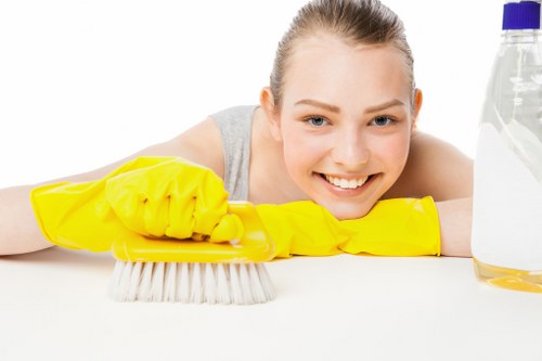 Domestic cleaning support for Tufnell Park residents