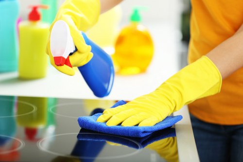Professional laundry and household textile cleaning in Tufnell Park