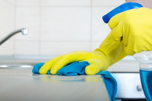 Careful pressing and finishing by Tufnell Park cleaning specialists