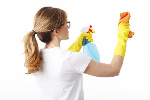 Professional upholstery cleaning on a fabric sofa in a bright living room