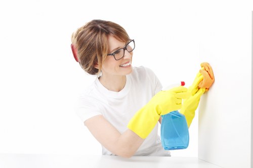 Home rug maintenance and cleaning routine